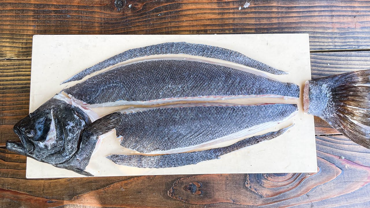 Fillet like a boss | In depth halibut/flounder fillet tutorial