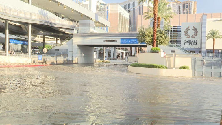 Flash flooding sends water rushing through streets near Las Vegas Strip