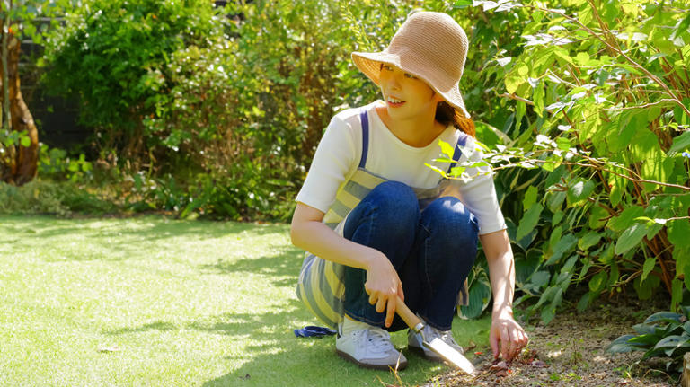 The method you shouldn't use to remove weeds growing next to trees or ...