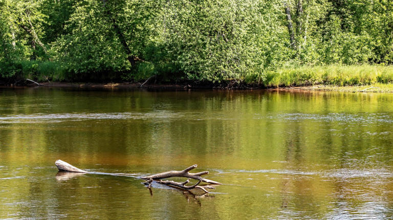 Minnesota's largest state park is a riverside recreational hub with ...