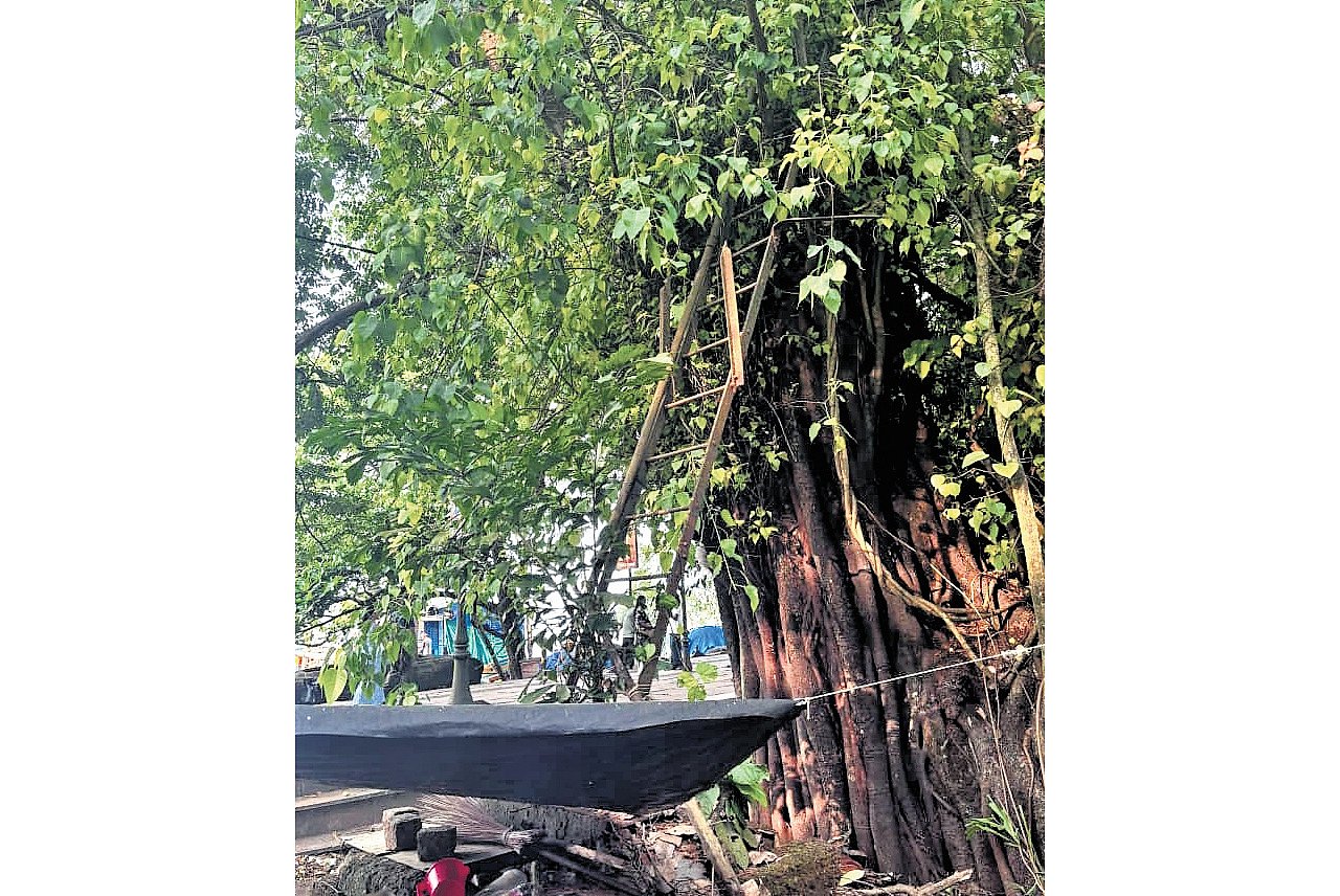 Eroded by tides of time, Kerala’s Raj-era weather system evokes concern