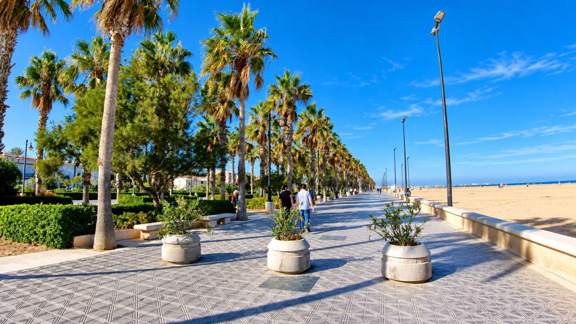A sunny walk along Valencia's palm-lined beach promenade (4K)