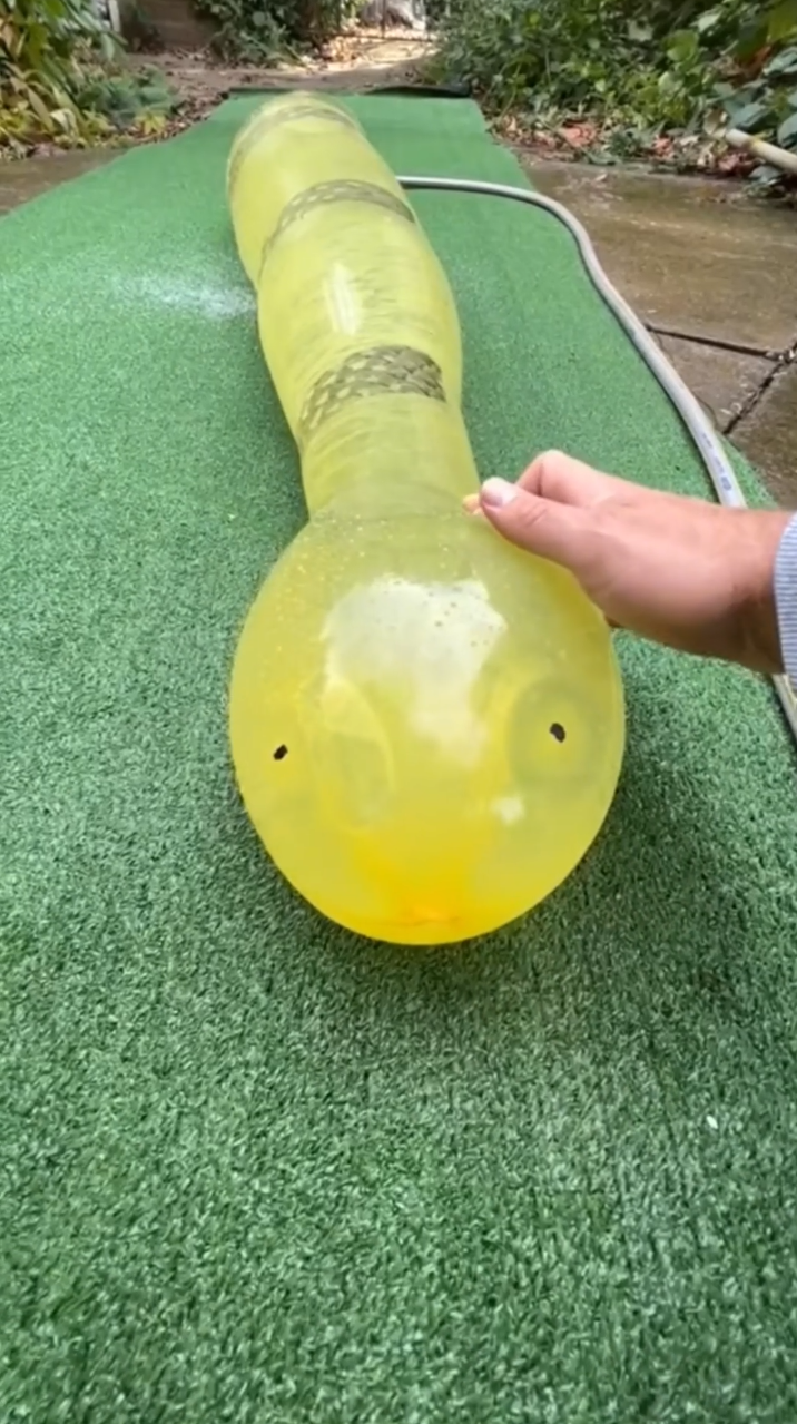 These inflatable toys turn into giant water balloons before popping
