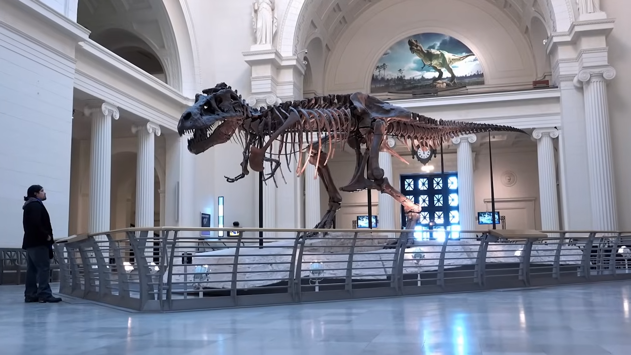 Everyone knows the T Rex... but how much do we really know about this ...