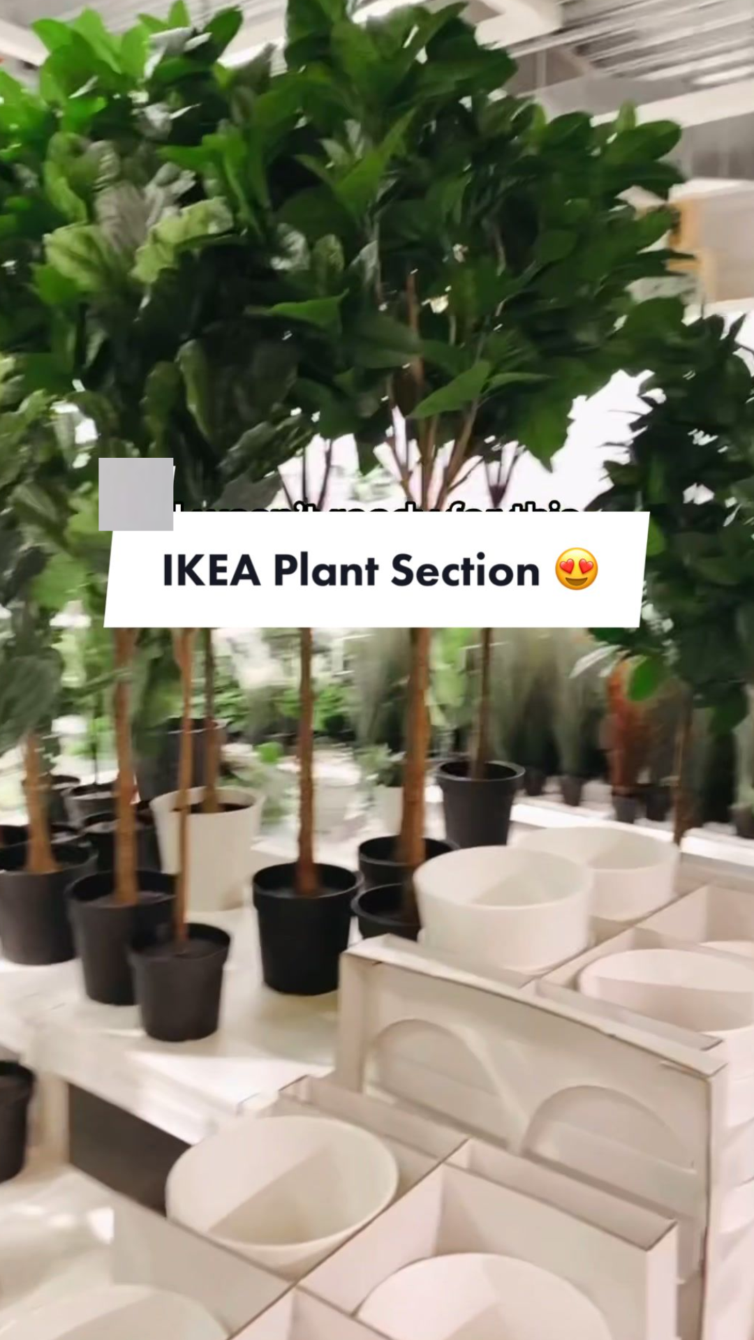 Transform your living space with IKEA indoor plants and greenery