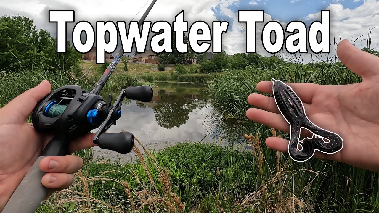 Topwater toad fishing that triggers explosive bass strikes
