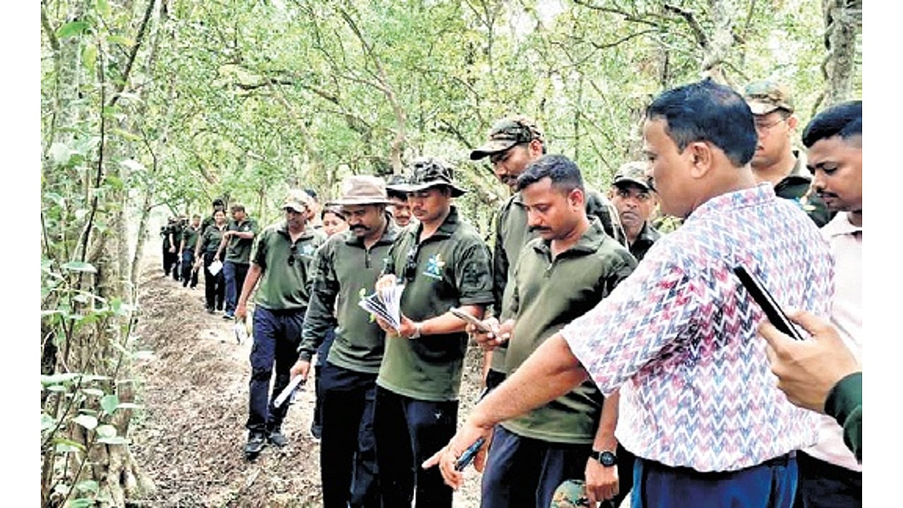 36 forest ranger trainees from Maharashtra tour Odisha's Bhitarkanika ...