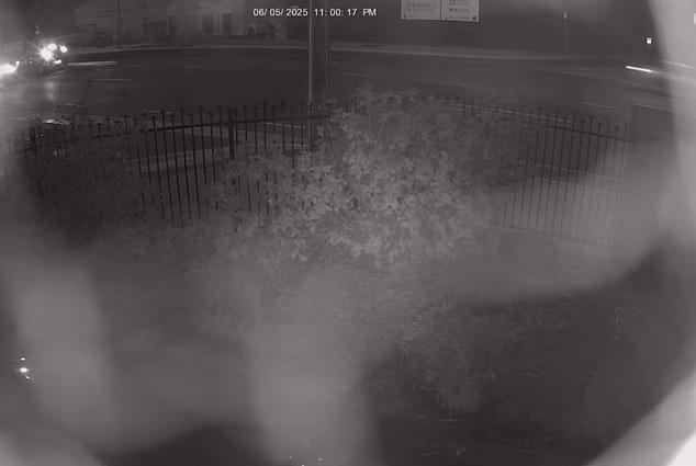 CCTV footage shows Friend's car driving away moments after striking Malik