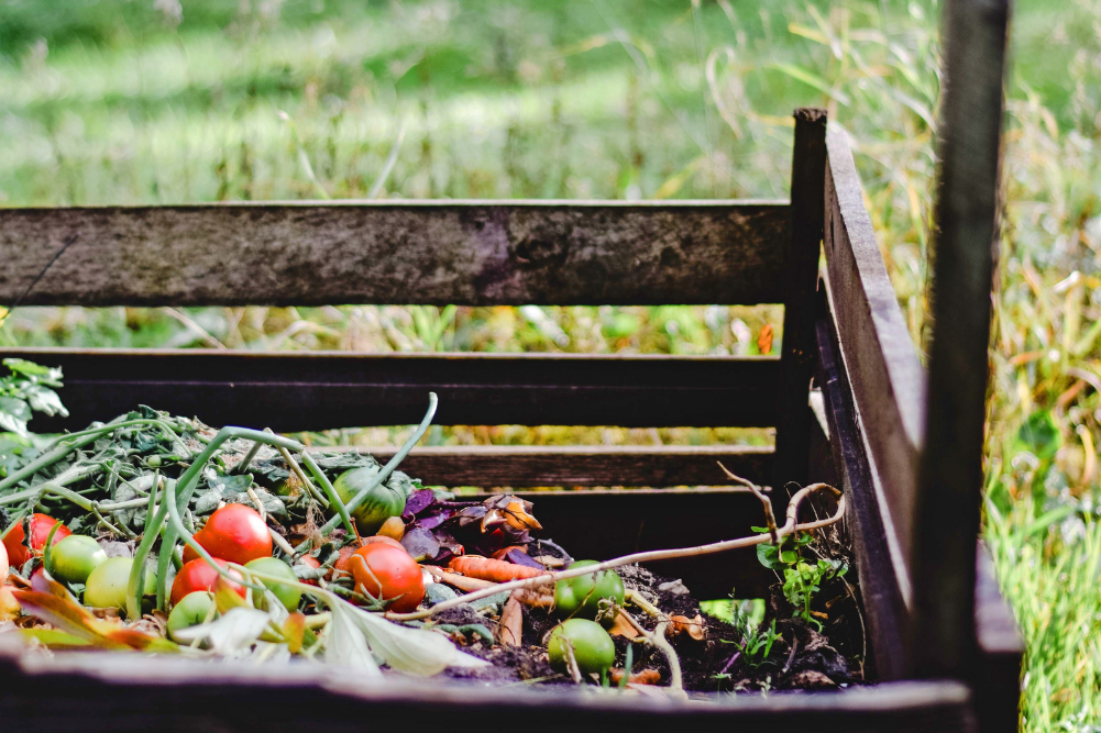 The compost connection