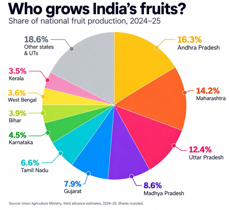 Worst drought in 50 years: Maha farmers lose fruits, now fight to save ...
