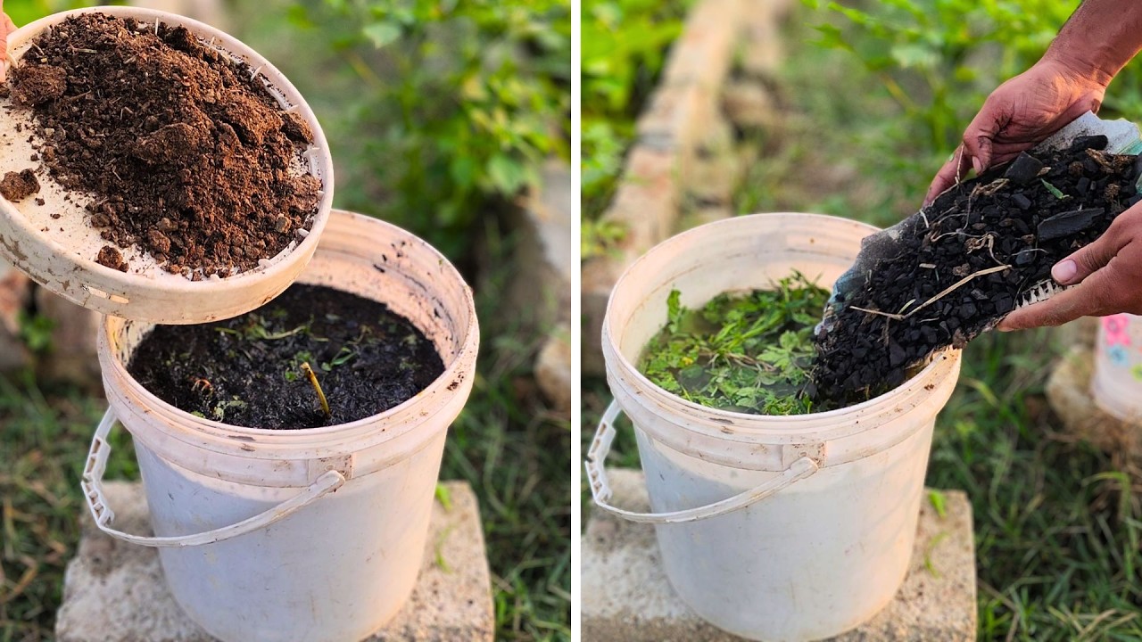 A simple 7 day method for preparing garden fertilizer