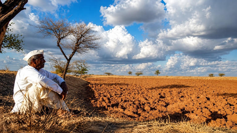 Worst drought in 50 years: Maha farmers lose fruits, now fight to save ...