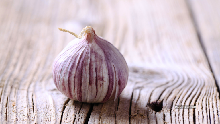 Types of garlic grown across the world and which has the highest amount ...