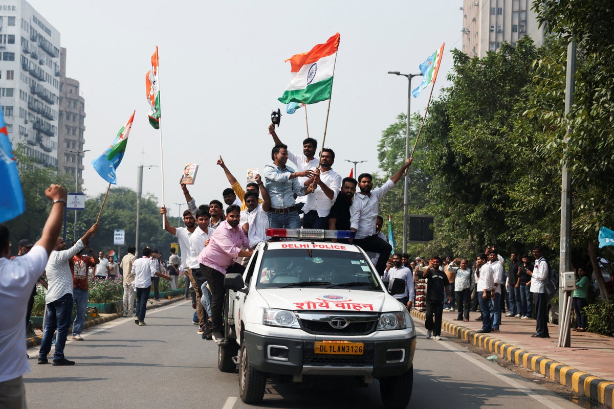 Defiant 'cockroach' leaders vow to continue protests in India