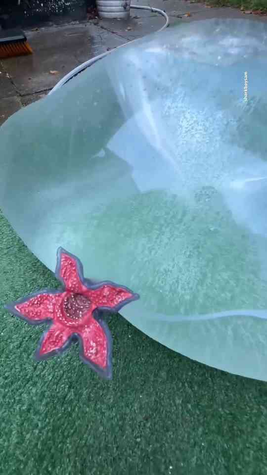 Inflate and pop challenge giant toys flooding the garden with wild ...