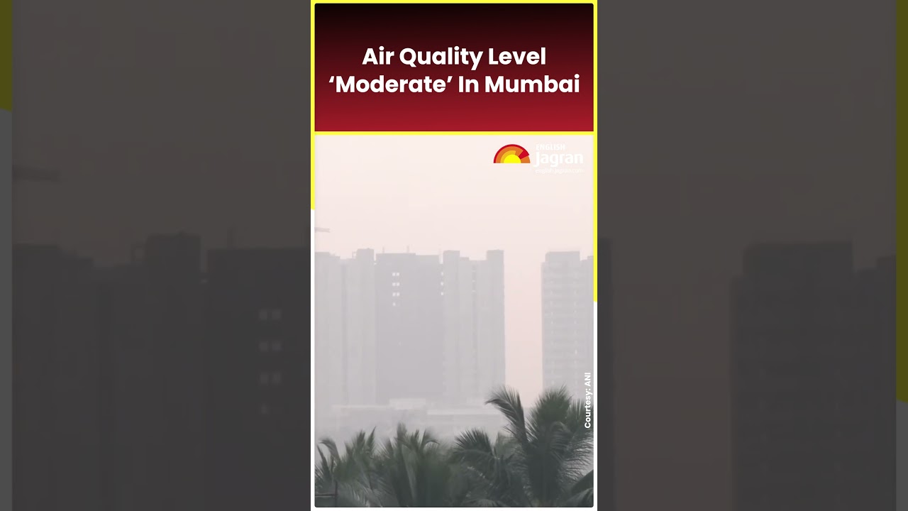 Air quality level 'moderate' in Mumbai #ytshorts #shortsfeed # ...