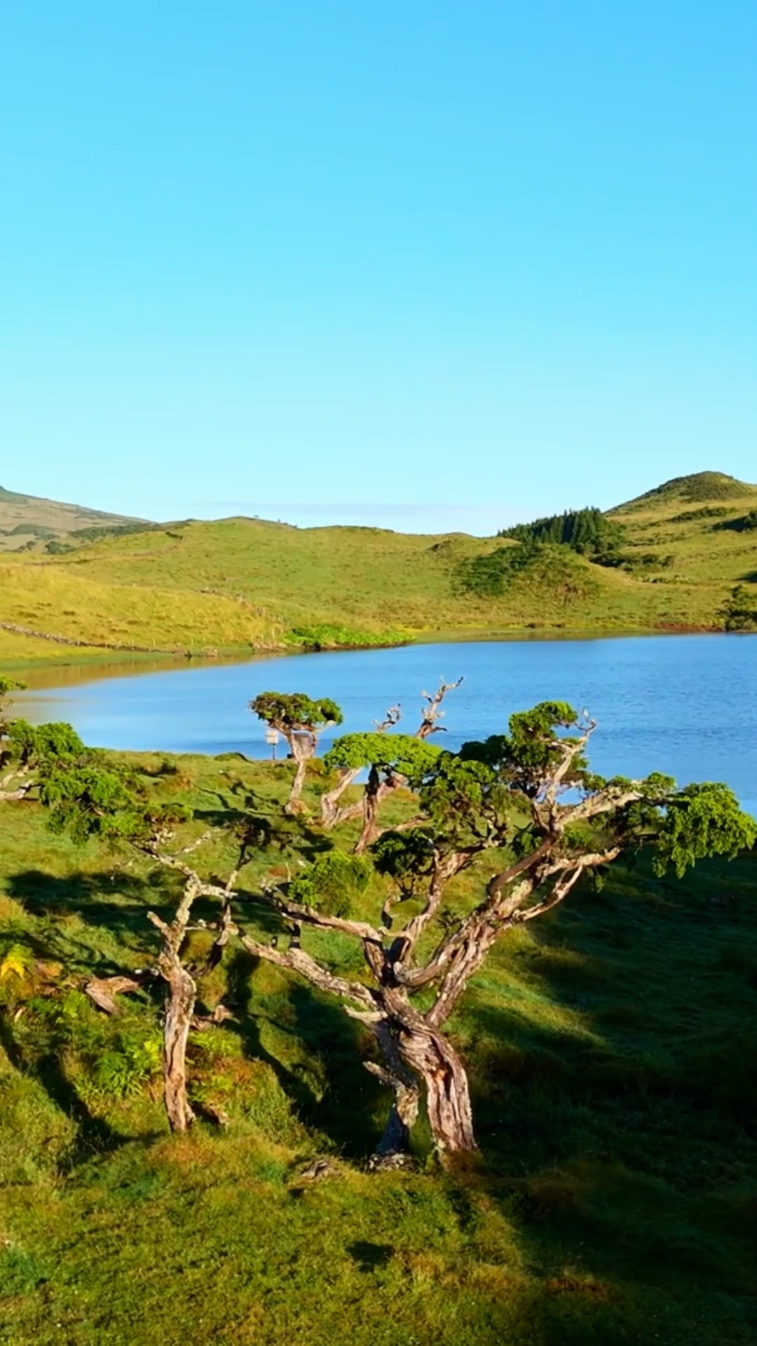 Pico Island, Azores: Drone tour of Portugal’s tallest peak