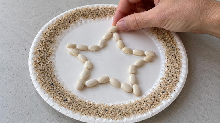 Make paper plate sand dollars with four simple supplies