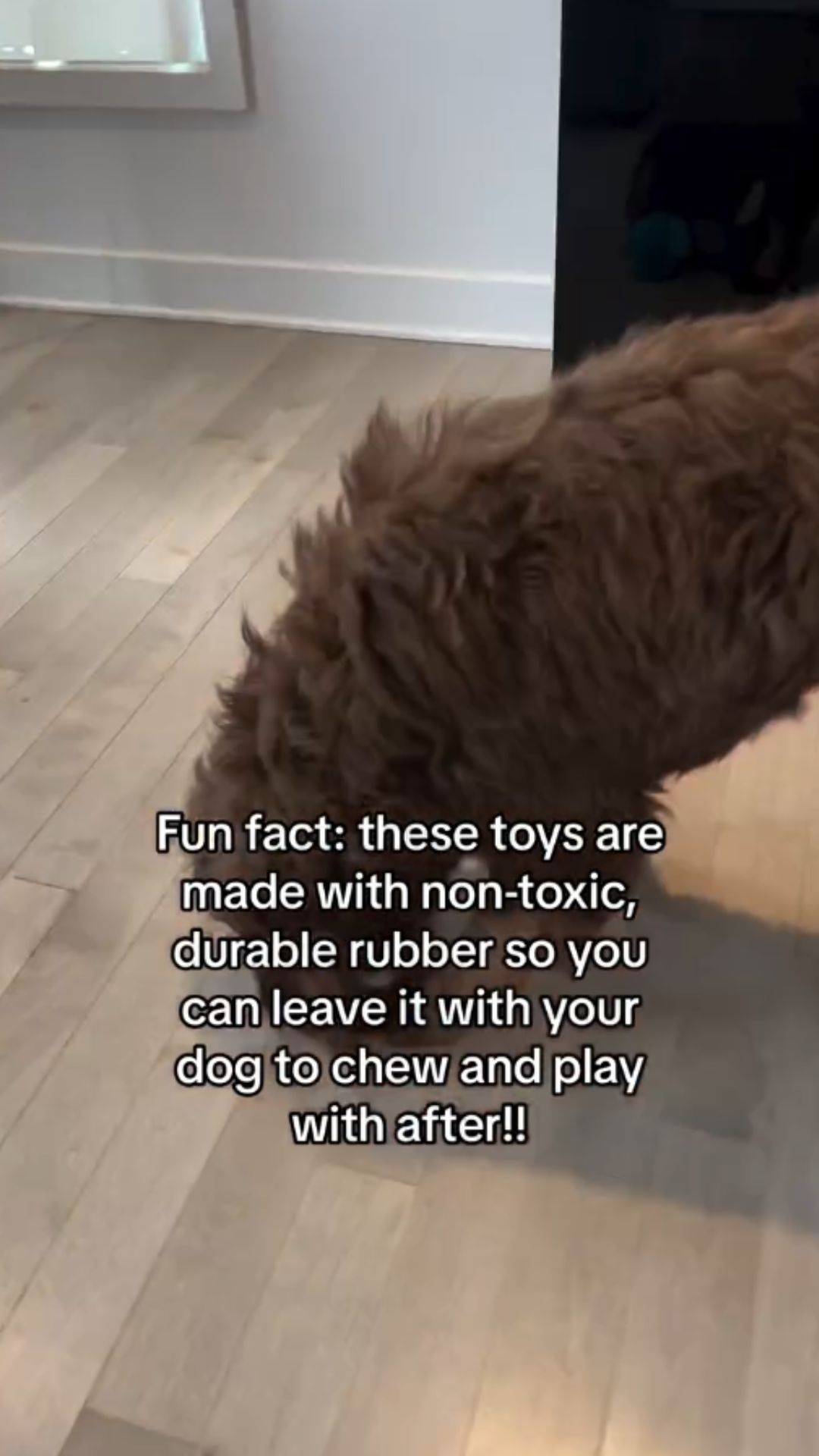 Can this dog toy really withstand aggressive chewing?