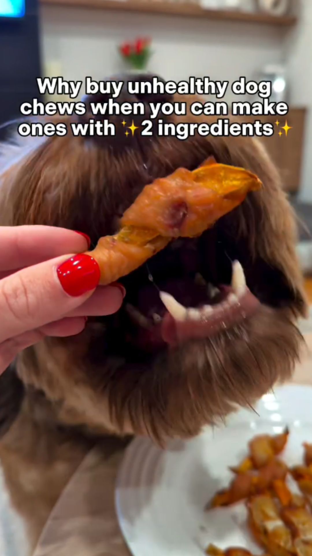 Homemade chicken and sweet potato roll ups for dogs