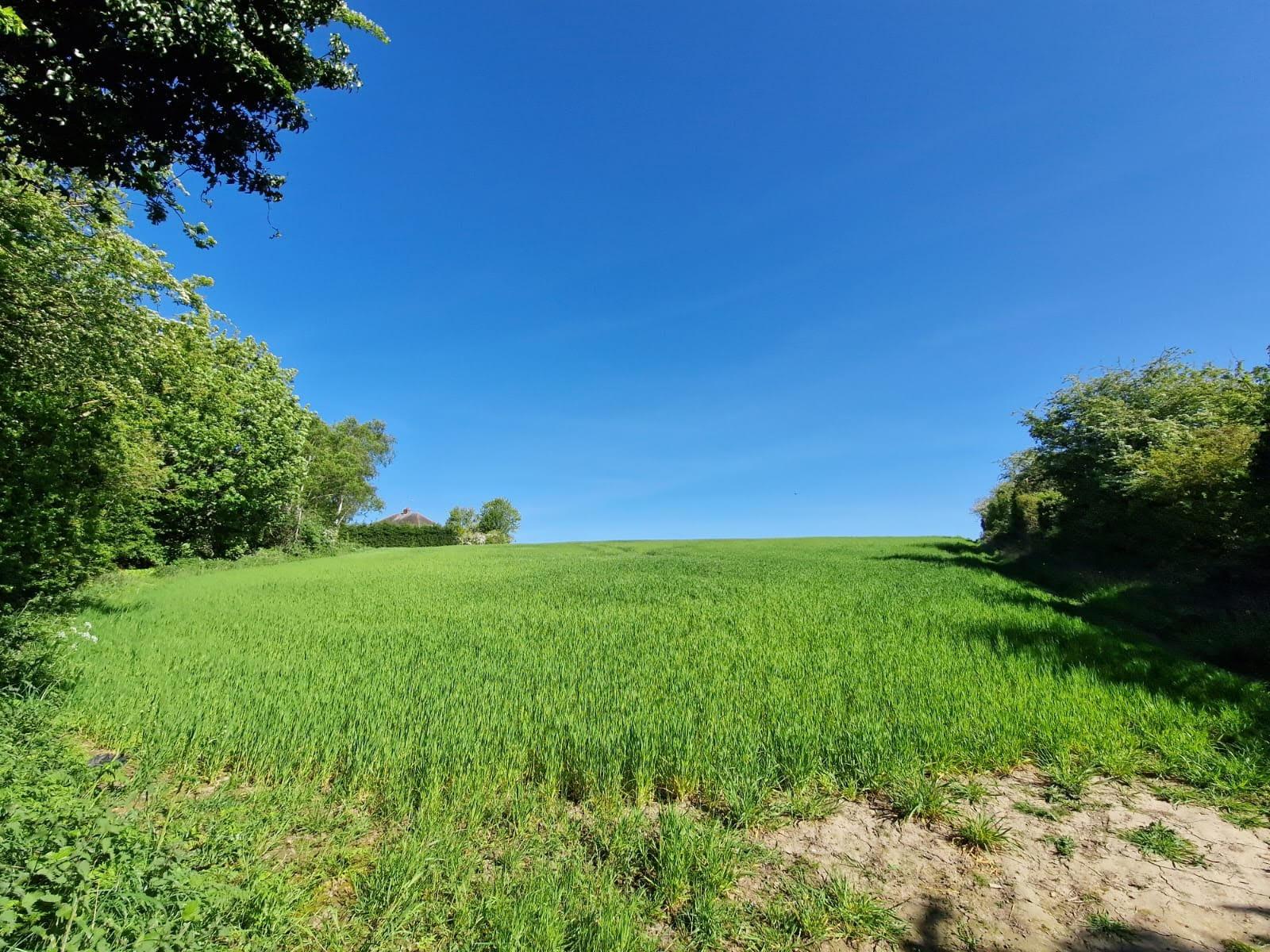 Cash from multi-million pound windfall could be used for safety work in ...