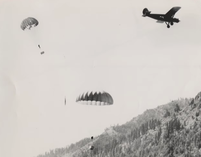 In 1948, Idaho dropped 76 beavers by parachute into the wilderness. All ...