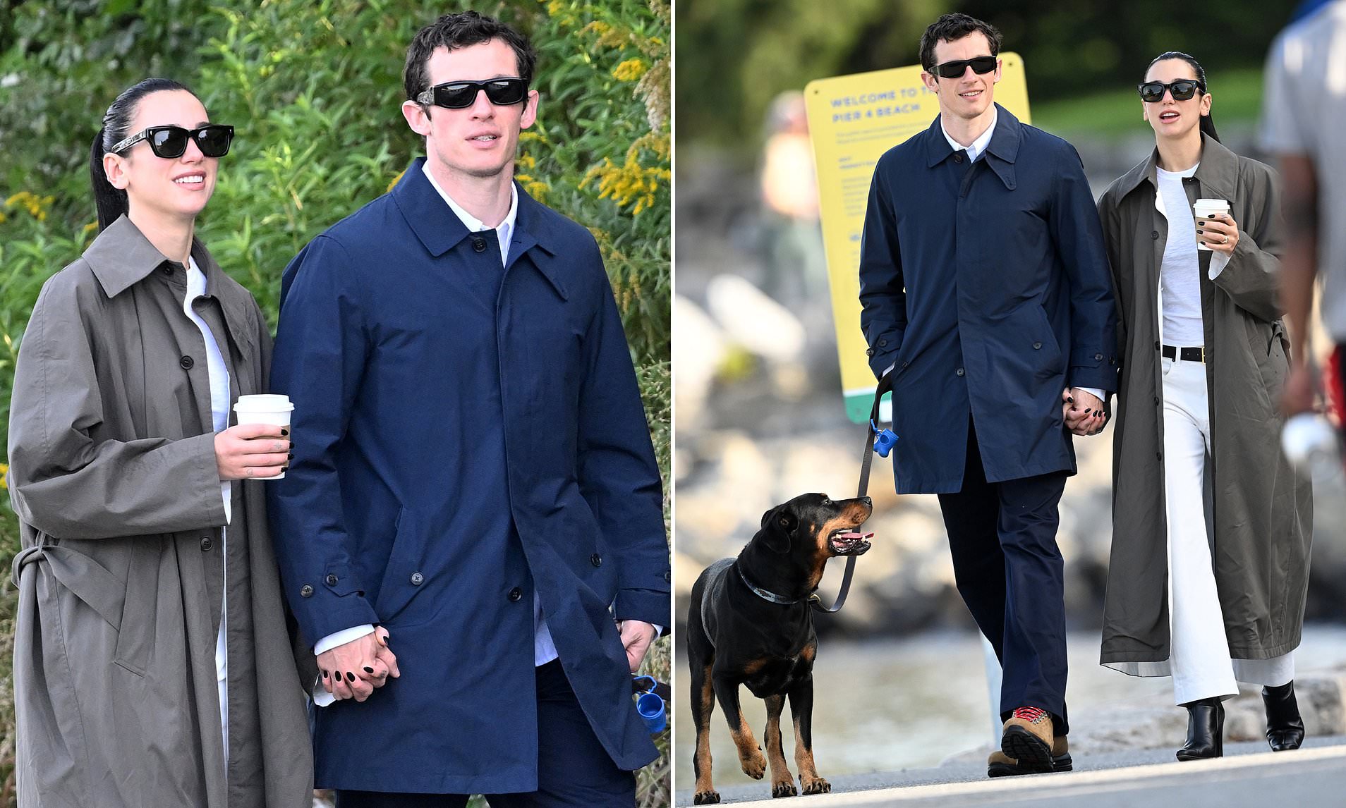 Puppy love: Dua Lipa and Callum Turner look the picture of newlywed ...