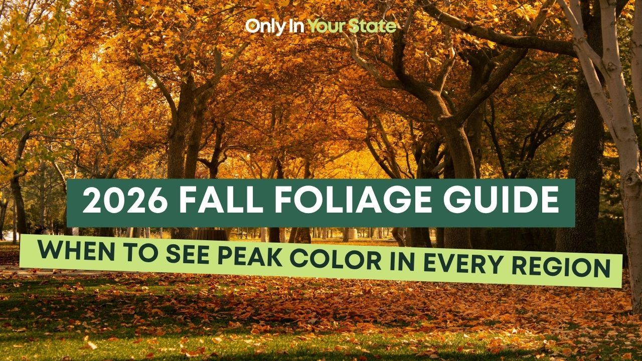 2026 fall foliage guide: When to see peak color in every region