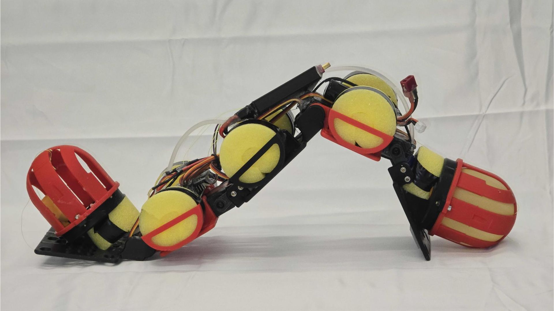 Video: Worm-like robot shifts its own weight to crawl over rocks, climb ...