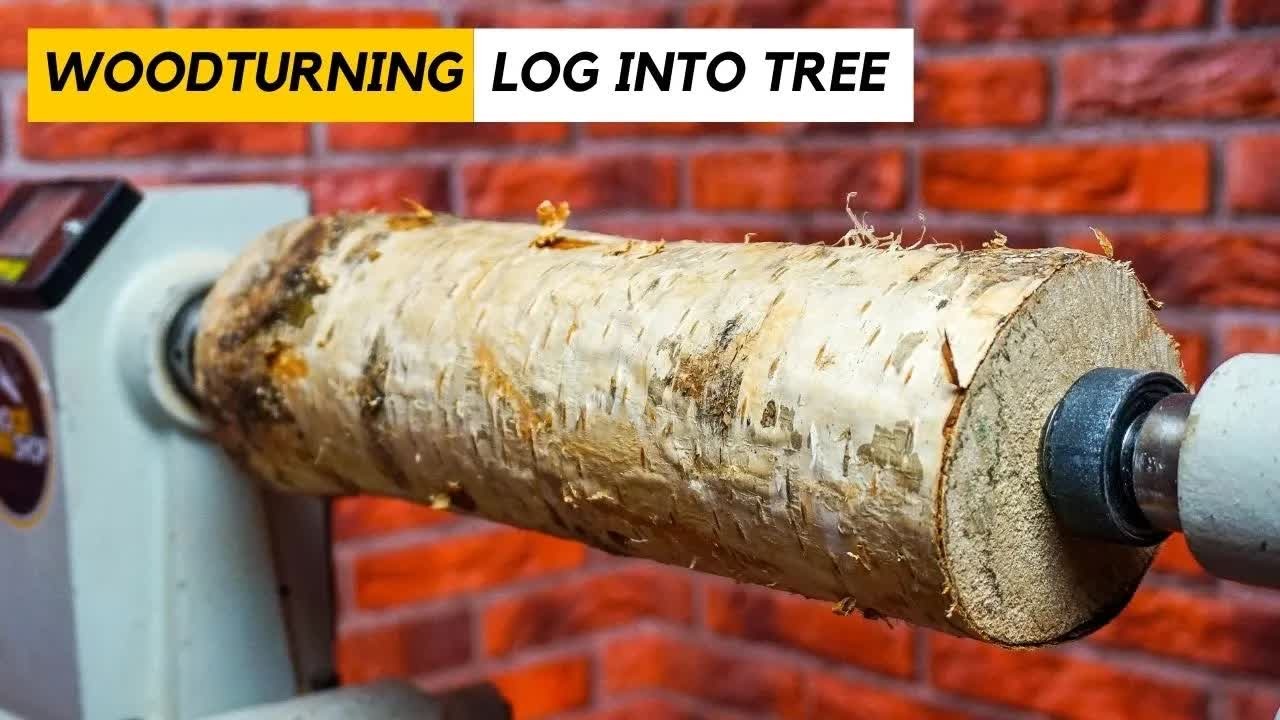 How a birch log became a glowing tree sculpture