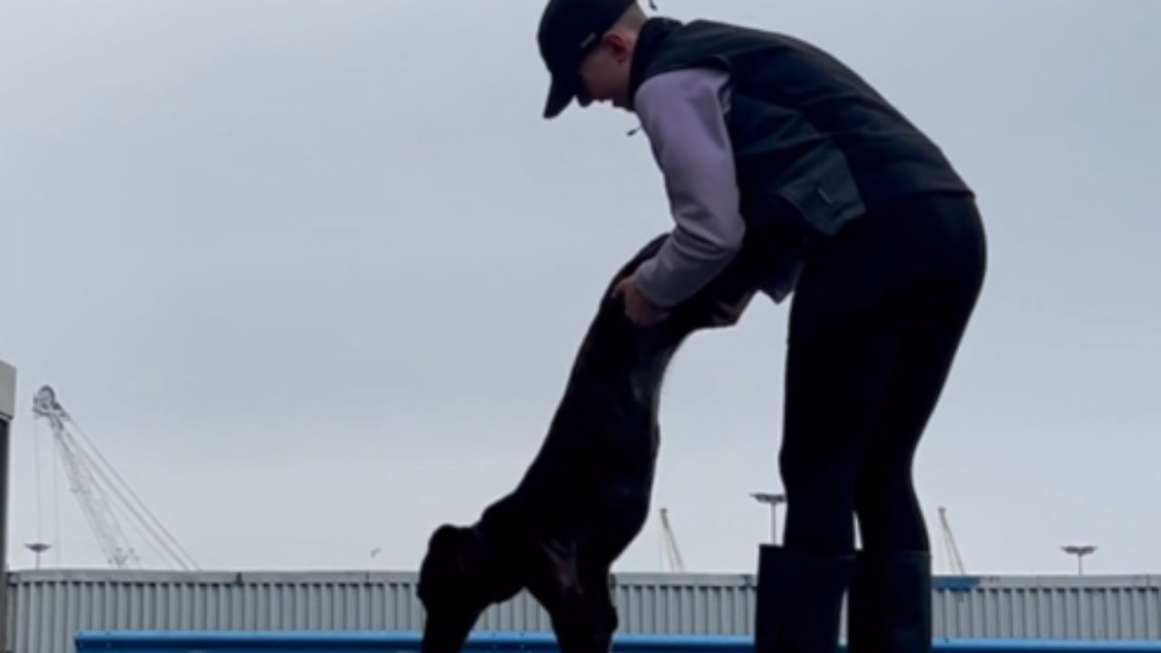 Woman saves her choking dog using canine first aid