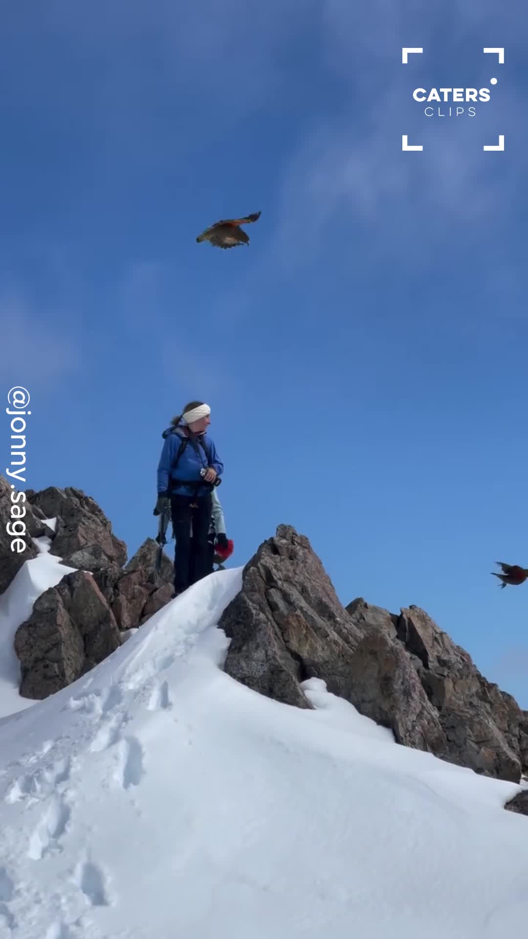 Skier gets swarmed by unexpected visitors during mountain adventure