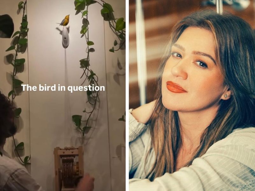 Kelly Clarkson vs the New York shop that wouldn't sell her a bird