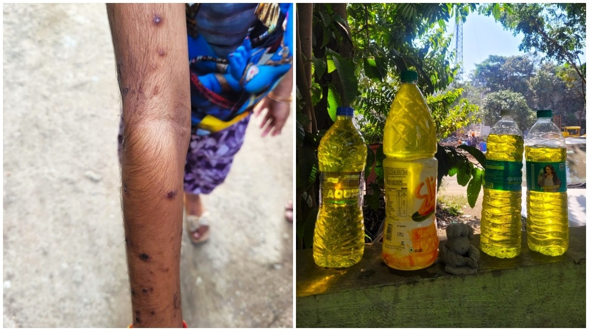 Cancer toxins found in groundwater near Maharashtra's Kumbh Mela site ...