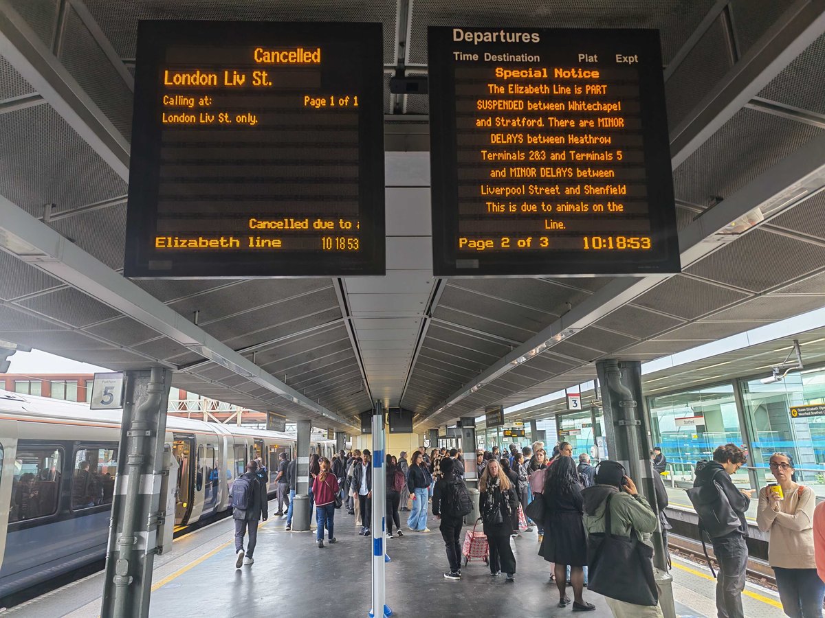 Swan halts Elizabeth line trains as Tube suffers signal fault woe