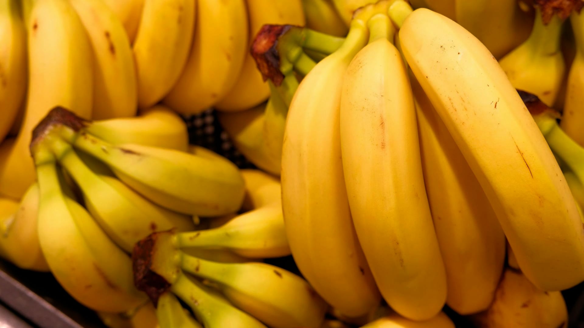 What happens to your blood sugar if you eat bananas every day?