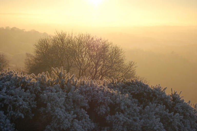 When is the winter solstice? Date, time and how many hours of daylight ...