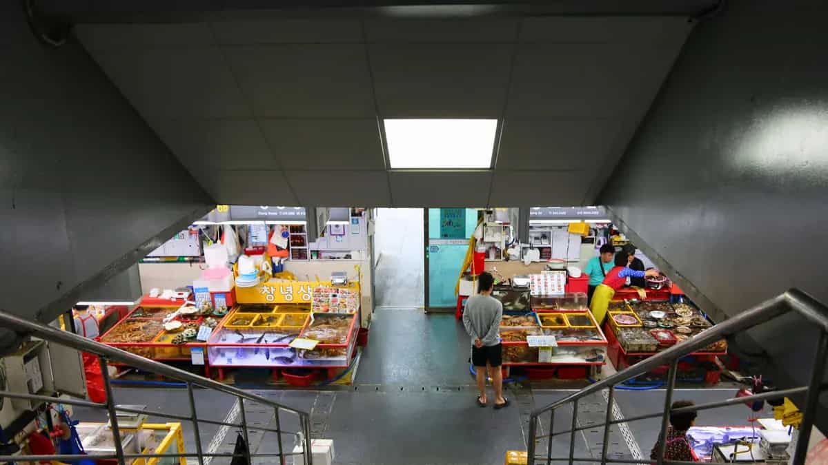 Jagalchi fish market, Busan: A guide to picking live seafood