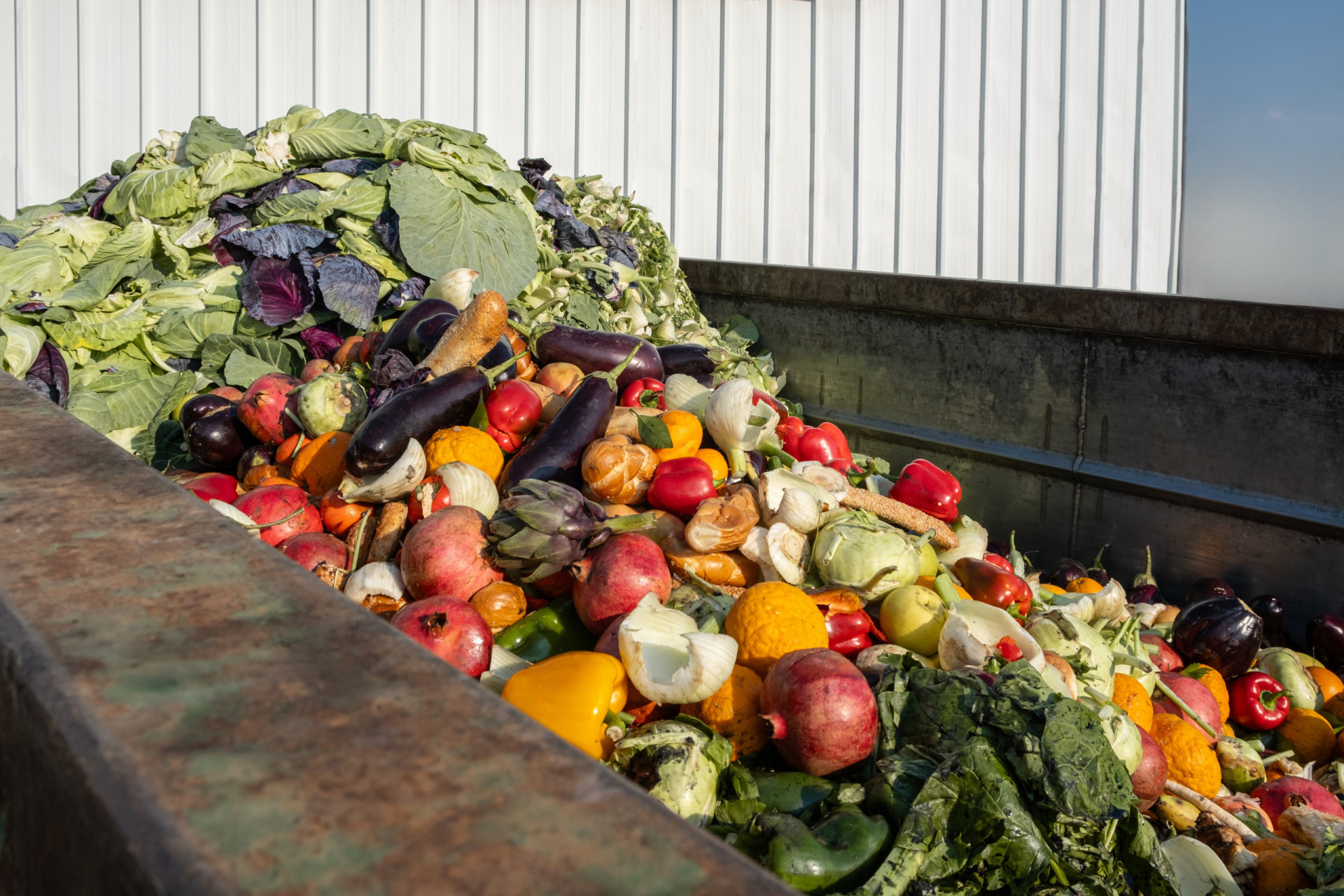 The lie of 'expired' food