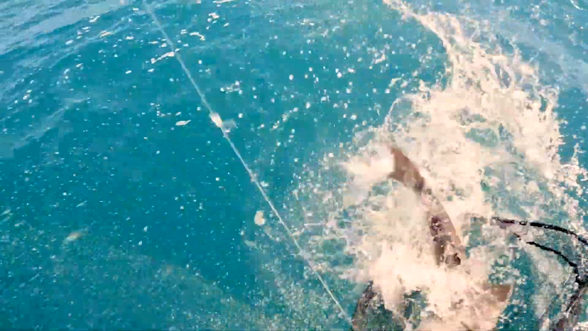 They thought they caught a monster jack until the zombie fish revealed ...