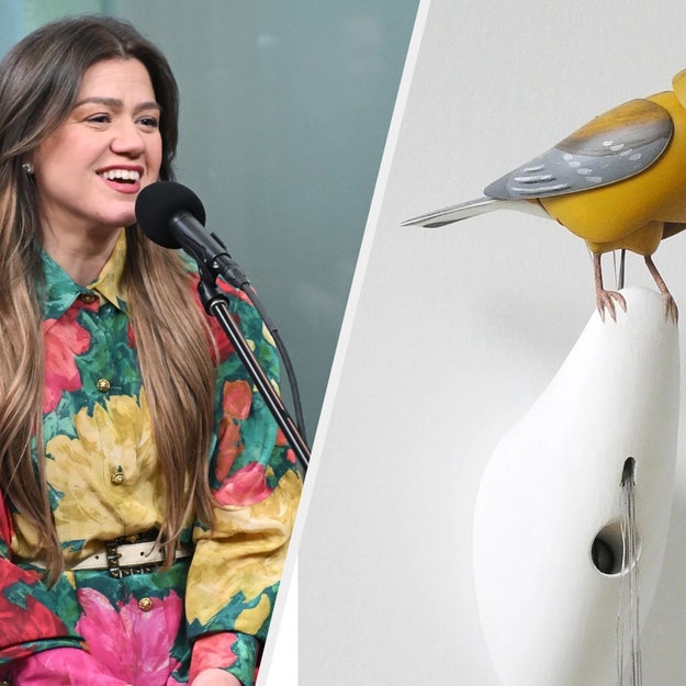 Kelly Clarkson's very unexpected toy shop feud has sparked some truly ...