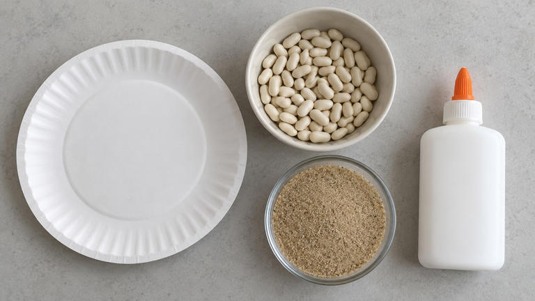 Make paper plate sand dollars with four simple supplies