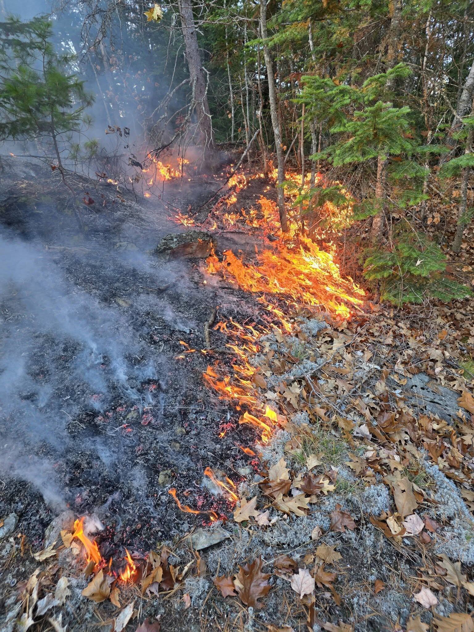 Update: Ridge Fire estimated at 466 acres, 40% contained, DNR says