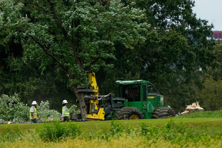 Judge blasts Trump's DOJ over 'inexcusable' tree removal at DC golf course