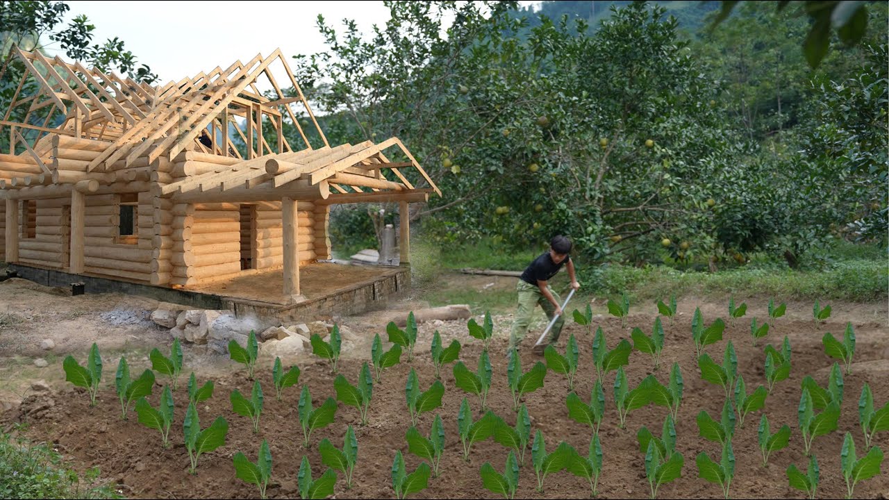 Plowing, planting, and building a new home