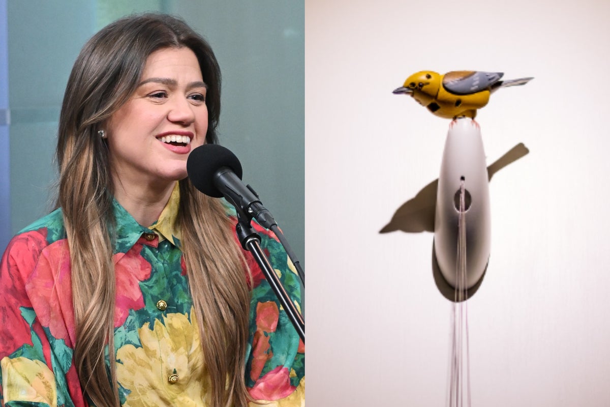 Kelly Clarkson and a local business are beefing over a $15M bird