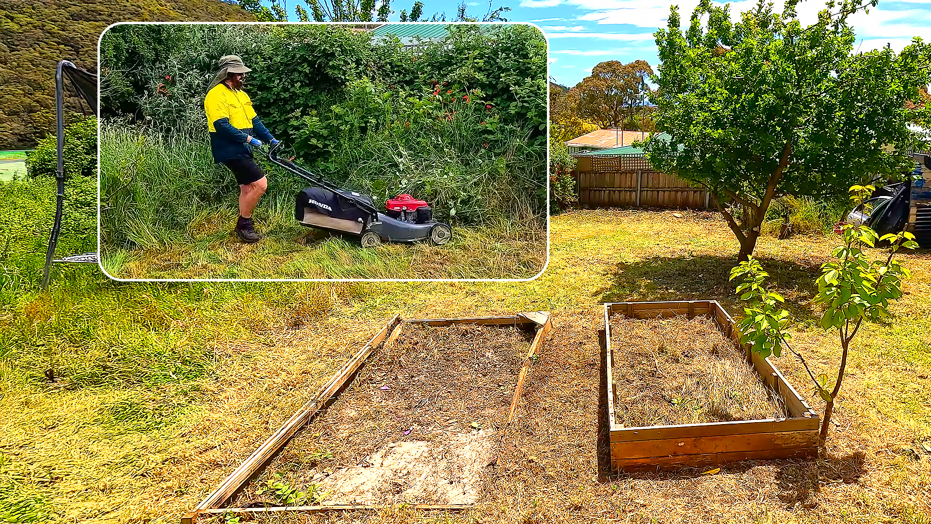 Extreme backyard cleanup: From jungle to joy