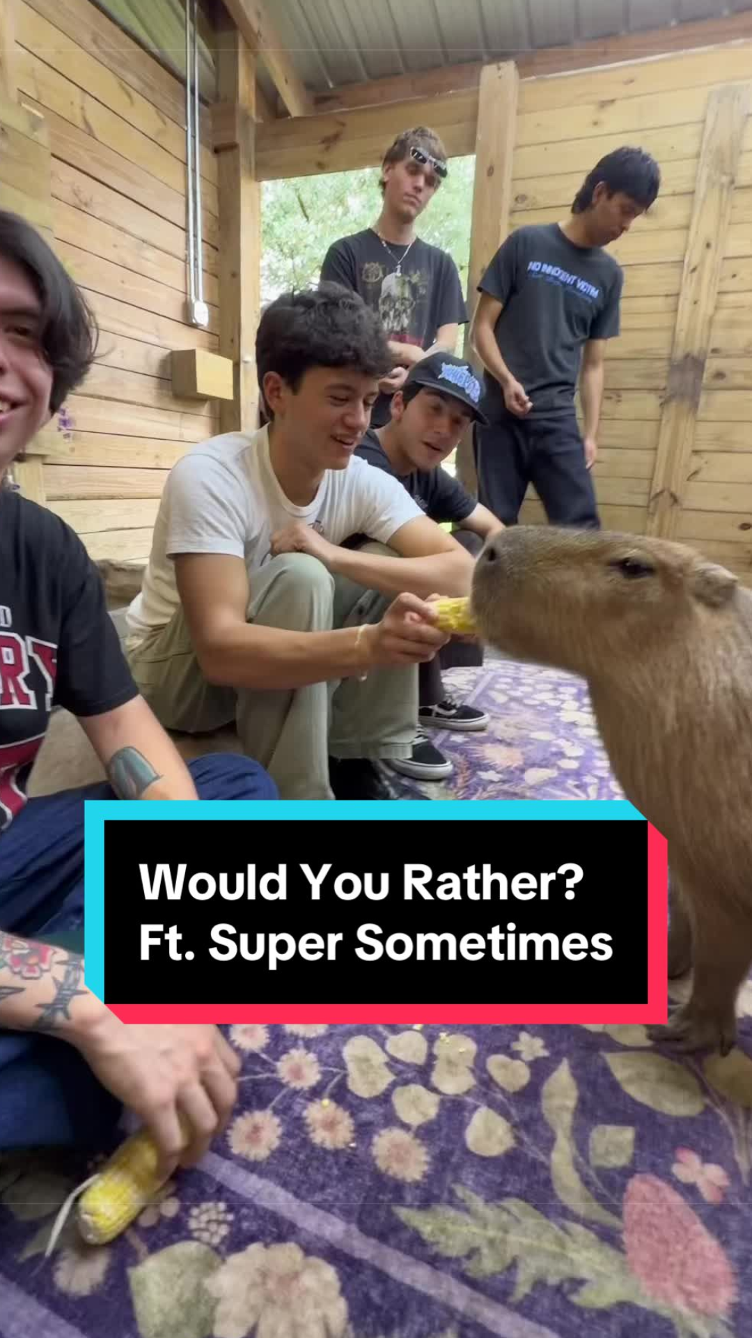 The funny animal debate behind this capybara challenge