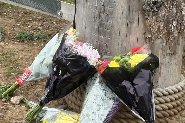 Health and safety probe after fatal tiger attack at Yorkshire zoo