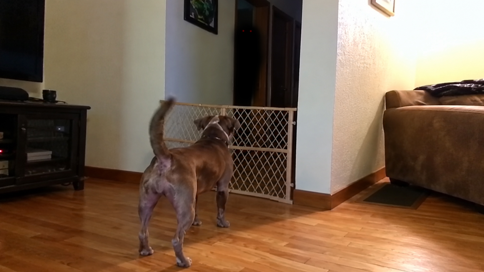 The strangest things happening caught on camera